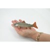 Collectible Wildlife Gifts | Fish, Arctic Char, Salmonidae, Museum Quality, Hand Painted, Realistic, Rubber Fish, Model,  Toy, Gift,   6" CH506 BB156 - 2 of 4