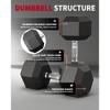 Garvee Rubber Encased Hex Dumbbell Set Contoured Handle for Muscle Toning, Strength Building & Full Body Workout - 3 of 4