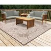 Liora Manne Malibu  Indoor/Outdoor Rug  Neutral.. - 2 of 4