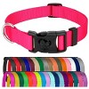 Country Brook Petz American Made Deluxe Nylon Dog Collar - 2 of 4