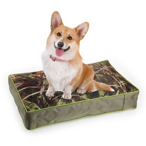 Allforpaws Rugged Land Dog Bed - 1 of 4