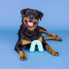 PetShop by Fringe Studio Color Me Happy Dog Horseshoe Plush Toy - Turquoise Blue - 3 of 3