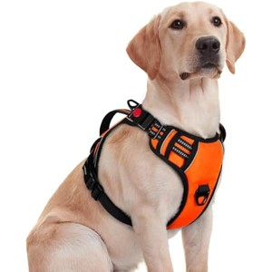 rabbitgoo Dog Harness for Large Dogs, , , Easy Walking Harness with 2 Leash Clips, Orange, M - 1 of 1