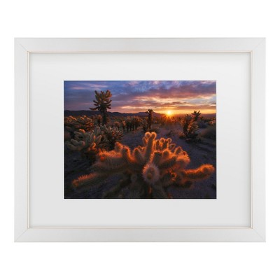 Inigo Cia Cholla Garden Matted Framed Art : Target