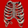 Men's Design By Humans Your Rib Is an Octopus By huebucket T-Shirt - 2 of 4