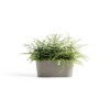 Ecopots Sofia Durable Modern Oval Indoor/Outdoor Recycled-Based Composite Flower Pot Planter w/ Water Reservoir - 4 of 4