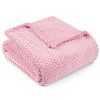 PAVILIA Soft Waffle Blanket Throw for Sofa Bed, Lightweight Plush Warm Blanket for Couch - 2 of 4