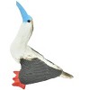 Collectible Wildlife Gifts | Red-Footed Booby, Hand Painted,  Realistic Plastic Bird Figure, Diorama, Model, Toy,  Gift,    2 Inches.   F1522 B150 - 3 of 4