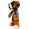 Bleacher Creatures Colorado Avalanche Bernie 8 Kuricha Mascot Plush :  Target