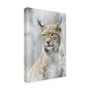 Canvas Wall Art - Santiago Pascual Buye 'Lynx Portrait In The Fog' Wall Art for Living Room, Bedroom, or Office Décor by Trademark Fine Art - 16 x 24 - 2 of 4