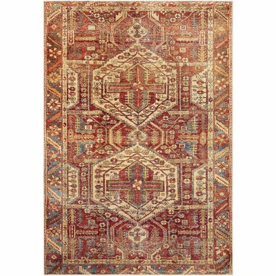 Hauteloom Rectangle Area Rug   Burnt Orange