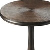 HomeRoots 22" Bronze Metal Round Pedestal End Table - 4 of 4