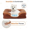 Aukfa Memory Foam Pet Bed for Medium Dogs & Cats - Washable Removable Cover, Waterproof Liner & Non-Slip Base, Orthopedic Support Brown - 2 of 4