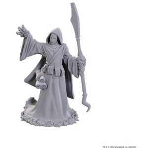 Dungeons & Dragons Nolzur's Marvelous Miniatures - Star Spawn Larva Mage - 1 of 1