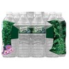 Poland Spring Natural Spring Water - 16.9 Oz Bottle (Pack of 24) - 2 of 3