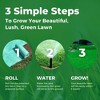 GROWTRAX Kentucky Mixture Blue/Rye 100 sq ft - 3 of 4