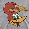 Boys’ Woody Woodpecker Retro Logo Hooded Sweatshirt - 2 of 4