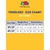Fruit Of The Looms Girls Toddler Flexible Fit Pantie Briefs 6 Pack Size 2T/3T - 3 of 3