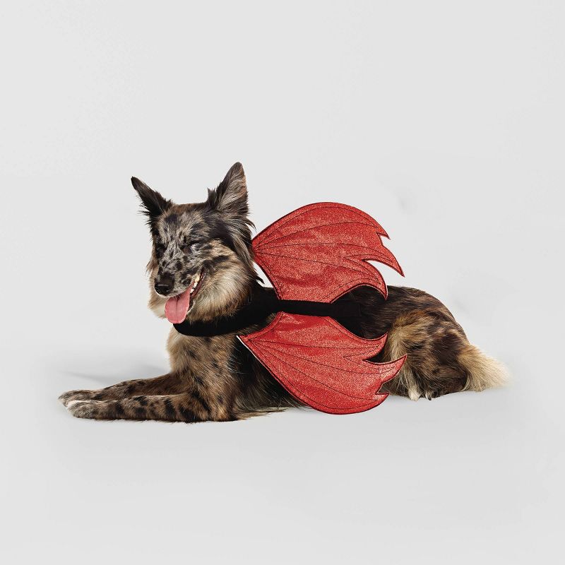 Rider Wings Halloween Red Devil Cat and Dog Costume - Hyde & EEK! Boutique™, 1 of 11