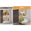 TROPOW Expandable Pull Out Cabinet Organizer, Stainless Steel + Carbon Steel Cabinet for Framed Cabinets Dish Combination Shelf - 4 of 4