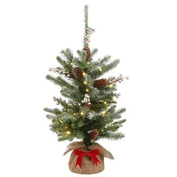 2ft National Tree Company LED Snowy Morgan Spruce Tree with Battery Operated Lights