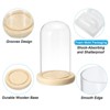 Unique Bargains Wooden Base Plants Home Decor Glass Bell Jar Display Case - 3 of 4
