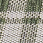 green/cream