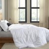 Egyptian Linens Bamboo Filled Blanket 300 Thread Count 100% Cotton Sateen White Shell - 3 of 3