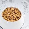 Nutro Natural Choice Chicken and Brown Rice Flavor Large Breed Adult Dry Dog Food - 4 of 4