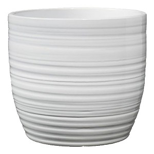 Tierra Garden 6.3" Ceramic Bergamo Indoor Pot - 1 of 3