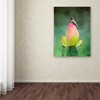 Trademark Fine Art -Jai Johnson 'Hummingbird And The Lotus Flower' Canvas Art - 3 of 3