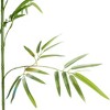 CORE ELECTRO Artificial Bamboo Tree in Pot – Tall Faux Plant for Indoor Outdoor Home Office Decor, UV Resistant, Realistic Look - 4 of 4