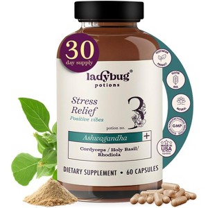 Ladybug Potion No3 Positive Vibes Ashwagandha Capsules, 60 Count - 1 of 4