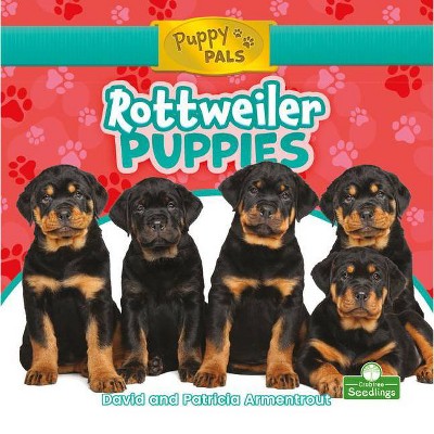 Rottweiler Puppies - (Puppy Pals) by  David Armentrout & Patricia Armentrout (Paperback)