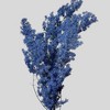 Alilang Decorative Dried Fine Leaf Stems for Home Decoration and Floral Arrangements, 17.7 Inches - 2 of 3