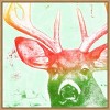 Amanti Art Portrait of A Deer rainbow by Marie Elaine Cusson Framed Canvas Wall Art Print - 3 of 4