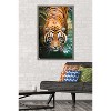 Trends International Tiger - Water Framed Wall Poster Prints - 2 of 4