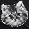 Mens Ask Me About My Kitty Funny Kitten Crazy Cat Lover Flip Up T shirt - Crazy Dog Men's T Shirt - 3 of 4