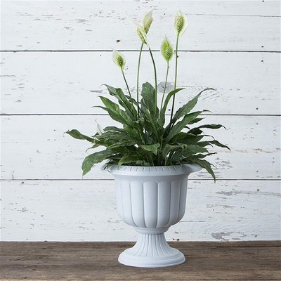 Stone 14-Inch Classic Grecian Urn Planter