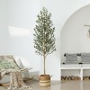 Artificial Olive Tree with Wood Trunk, 5/6/7ft Pencil Faux Olive Trees - UV Resistant Floor Plants for Home Decor - Living Room, Entryway, Foyer - 2 of 4
