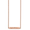 Chisel Stainless Steel Rose IP-plated Enameled Cubic Zirconia ENJOY THE LITTLE THINGS Bar on a Cable Chain Necklace 16" with a 2" Ext. - 2 of 4