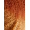 HalloweenCostumes.com Plus Deluxe Lion Costume - 4 of 4