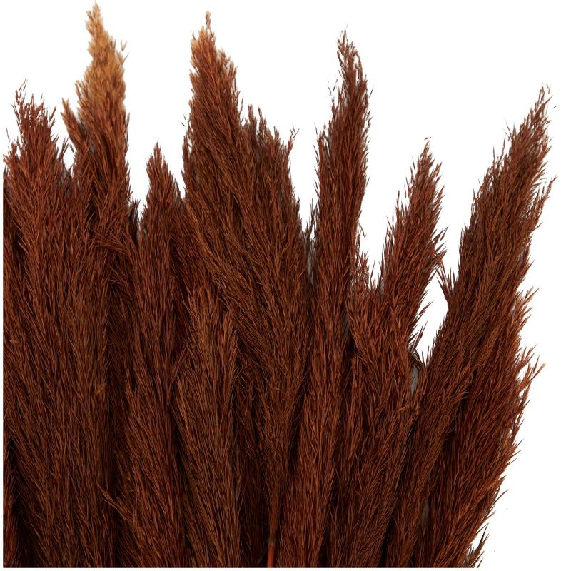 35&#39;&#39; x 2&#39;&#39; Dried Plant Pampas Natural Foliage with Long Stems Copper - Olivia &#38; May, 3 of 8