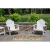 Liora Manne Marina Traditional Indoor/Outdoor Rug.. - 2 of 4