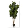 Nearly Natural 5.5-ft Oak Artificial Tree UV Resistant (Indoor/Outdoor) - 2 of 3