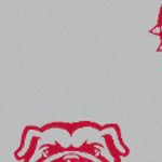 georgia bulldogs uga