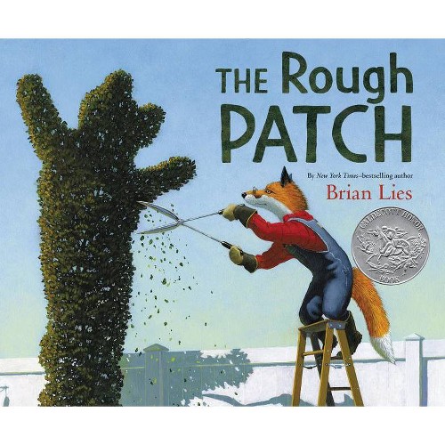 The Rough Patch - by Brian Lies (Hardcover)