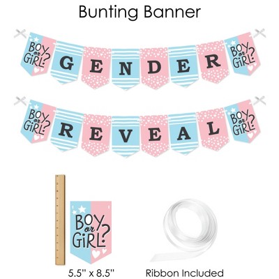 Pink and Blue Baby Gender Reveal Party Decoration Kit