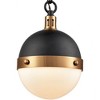 Elk Home Harmelin 1 - Light Pendant in  Matte Black - 2 of 3