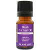 Plantlife Black Currant Carrier Oil – Cold Pressed, Non-GMO & Gluten Free – Ideal for Skin, Hair & Personal Care - 3 of 4